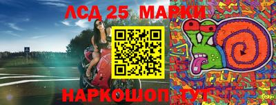 прущие грибы Краснокаменск