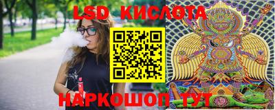 прущие грибы Краснокаменск