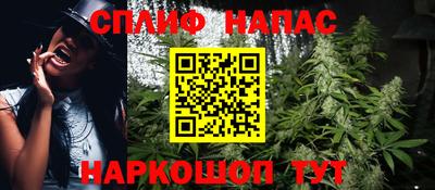 прущие грибы Краснокаменск