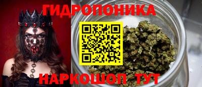 МДПВ Краснознаменск