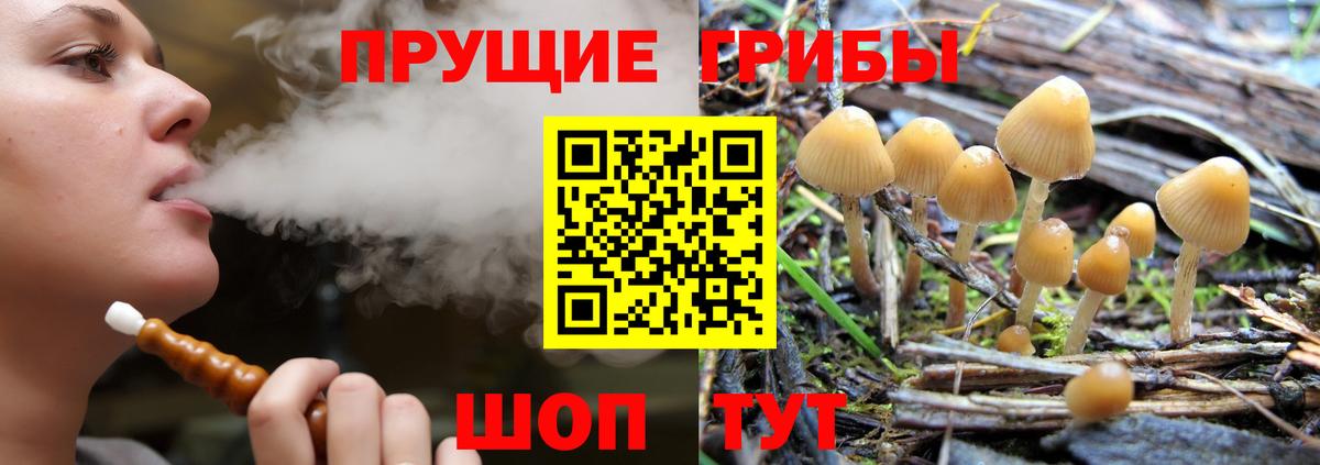 Галлюциногенные грибы прущие грибы  Псилоцибиновые грибы мухоморы  Ишимбай  Вход с VPN 